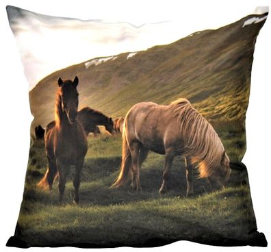 Kissenbezug 40x40 Pferde Dekokissen Kissenhülle Deko Kissen Pony Pferdekissen