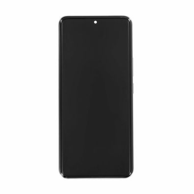 Honor Display + Akku Honor 90 Silber 0235AGDR