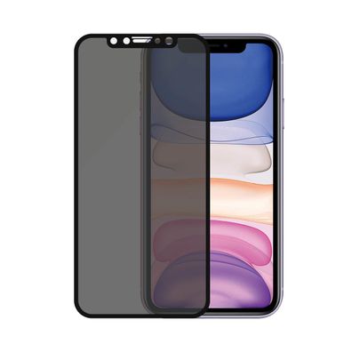 PanzerGlass Privacy Apple iPhone Xr/11, CF