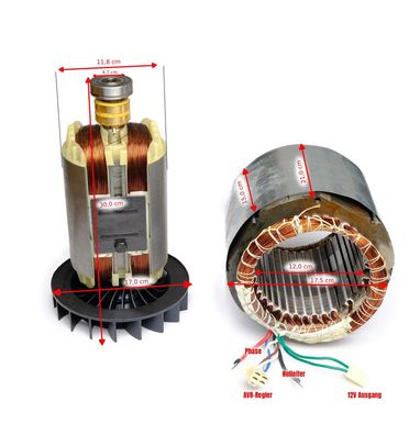 Spule Strom Generator Stator Rotor für Stromerzeuger 13 PS 1-Phase von DeTec.