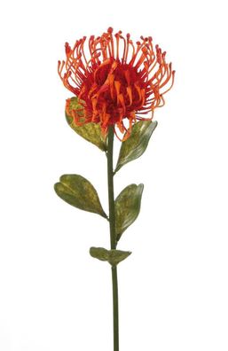 Gilde Blume Protea aus Kunststoff · orange Höhe 49 cm 53950