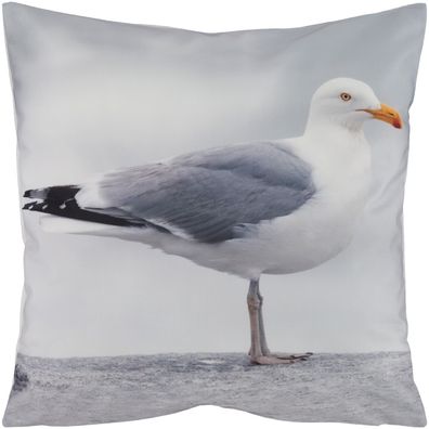 Kissenbezug Maritim 40x40 Weich Möwe Hellgrau Kissenhülle Sofakissen Dekokissen