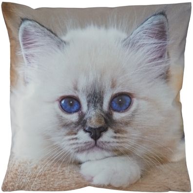 Kissenbezug 40x40 Kissenhülle Kissen Dekokissen Sofakissen Tiermotiv Katze