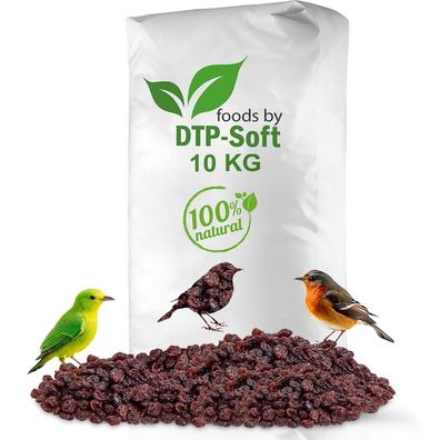 Vogelfutter | Wildvogelfutter Ganzjährig | Futterrosinen | Rosinen Vögel 10kg