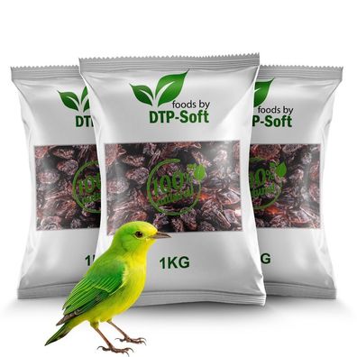 Vogelfutter | Wildvogelfutter Ganzjährig | Futterrosinen | Rosinen | Vögel 3kg