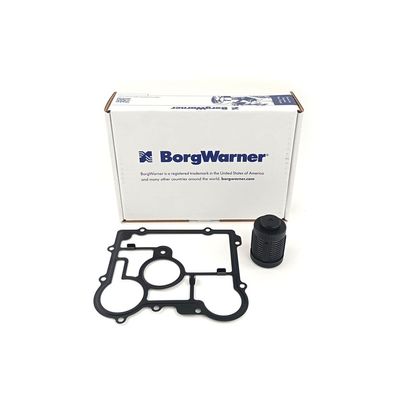 BorgWarner DS2006273 Ölfilter Dichtung Ausgleichsgetriebe OPEL Insignia hinten