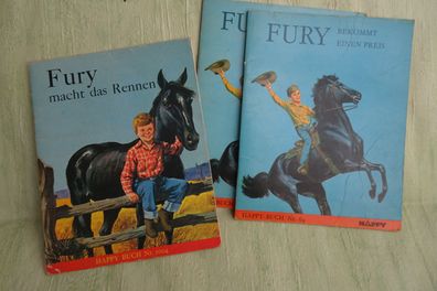 Happy Buch 64 1004 Delphin Verlag Fury bekommt einen Preis macht das Rennen