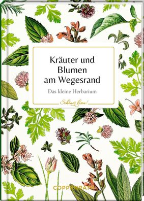 Kräuter und Blumen am Wegesrand,