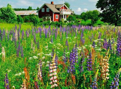 Bauernhof in Schweden