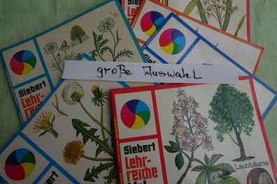 Siebert Lehrreiche Malbücher Uferpflanzen geschützte Frühlingsblumen Feld Wiesen...