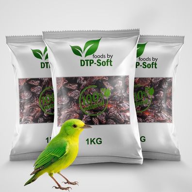 3kg Vogelfutter | Wildvogelfutter Ganzjährig | Futterrosinen | Rosinen | Vögel | fér