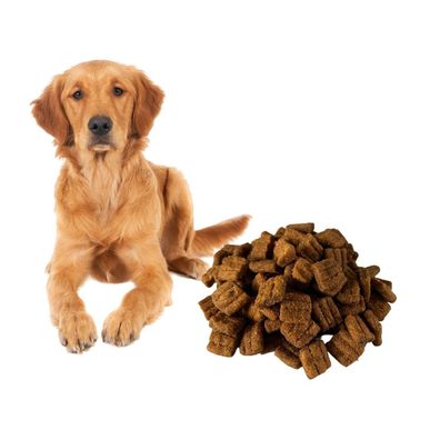 10kg Hundefutter Trockenfutter alle Rassen Universal hohe Qualität TOP