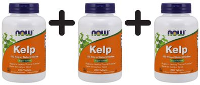 3 x NOW Foods Kelp, 150mcg - 200 tabs