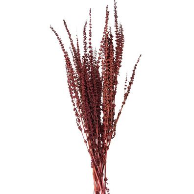 Clayre & Eef Trockenblumen 85 cm Rot Trockenblumen (Gr. 85 cm (100 gr))