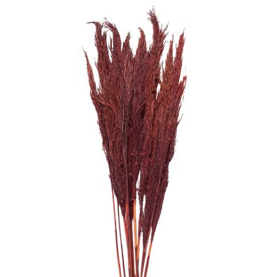 Clayre & Eef Trockenblumen 100 cm Rot Trockenblumen (Gr. 100 cm (10))