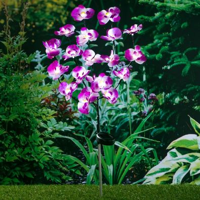 HI LED-Solar-Orchidee 75 cm