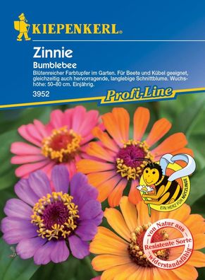 Zinnie Bumblebee, blütenreicher Farbtupfer, für Beete und Kübel, gute