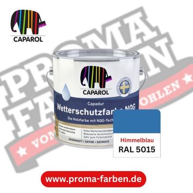 Capadur NQG Wetterschutzfarbe RAL 5015 Himmelblau