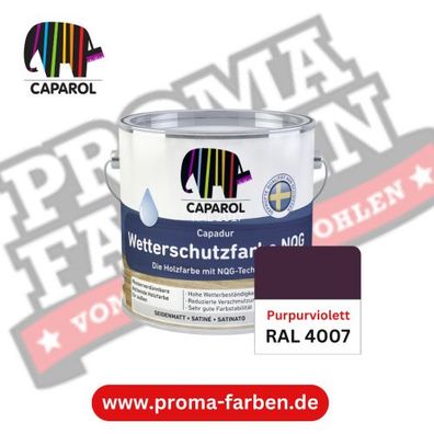 Capadur NQG Wetterschutzfarbe RAL 4007 Purpurviolett