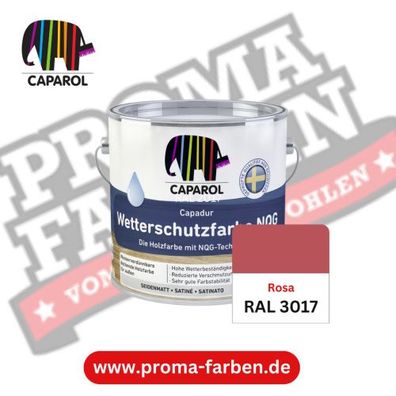 Capadur NQG Wetterschutzfarbe RAL 3017 Rosa