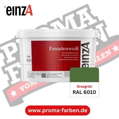 einzA Fassadenfarbe RAL 6010 Grasgrün