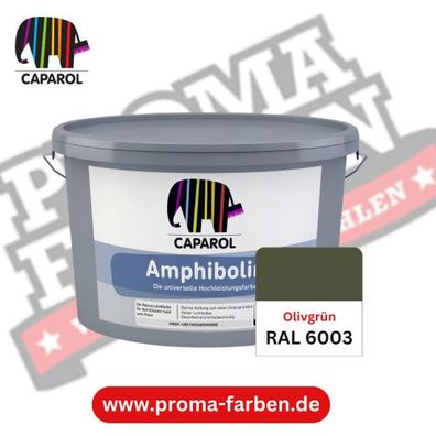 Caparol Amphibolin Fassadenfarbe RAL 6003 Olivgrün