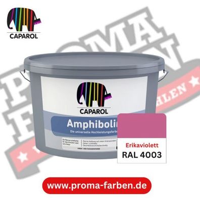 Caparol Amphibolin Fassadenfarbe RAL 4003 Erikaviolett