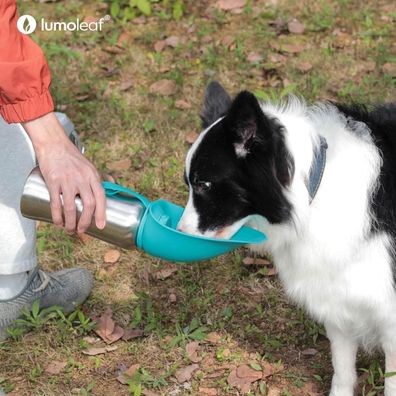 LumoLeaf Hundetrinkflasche für unterwegs 800ml Edelstahl Trinkflasche Hund 2in1 neue