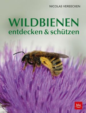 Wildbienen entdecken & sch?tzen, Nicolas Vereecken