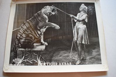 Der Tiger Akbar Harry Piel - Piel Film Verleih Original Kinoaushangfoto A4 30x24cm 2