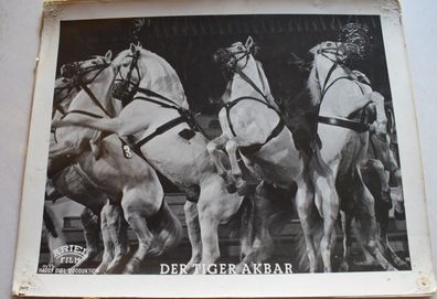 Der Tiger Akbar Harry Piel - Piel Film Verleih Original Kinoaushangfoto A4 30x24cm 5