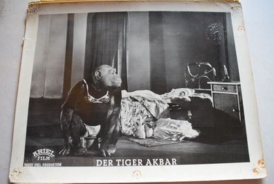 Der Tiger Akbar Harry Piel - Piel Film Verleih Original Kinoaushangfoto A4 30x24cm 6