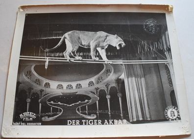 Der Tiger Akbar Harry Piel - Piel Film Verleih Original Kinoaushangfoto A4 30x24cm 9