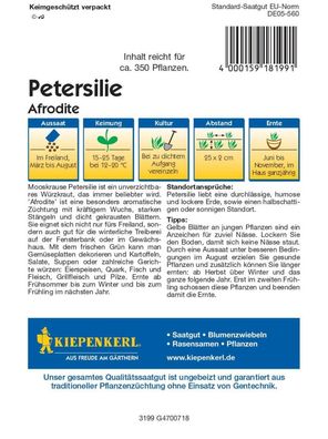 Petersilie Afrodite, würzig & aromatisch, sehr wüchsig, ganzjährige Ernte