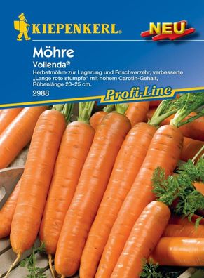 Möhre Vollenda® (Darina), Herbstmöhre zur Lagerung mit hohem Carotin-gehalt,