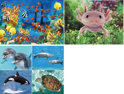 TischSet 3 D Seaworld / Wassertiere Platzset 2erSet Platzdeckchen Poster Bilder Tiere