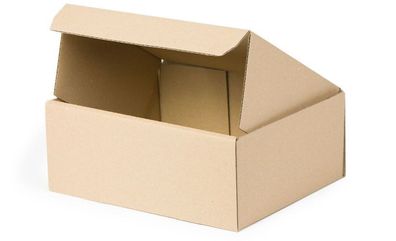 Klappdeckelkarton Kleiderbox Versandbox 250x200x100 mm Innenmass einwellig braun Neu