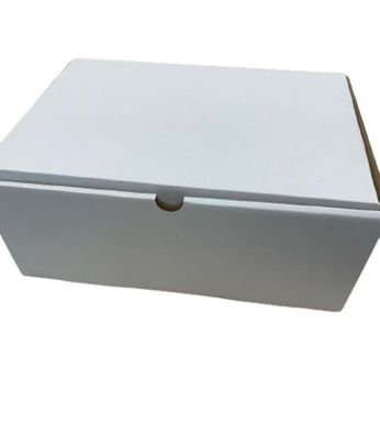 Klappdeckelkarton Kleiderbox Versandbox 350x250x140 mm Innenmaß, Aussenweiss Neu