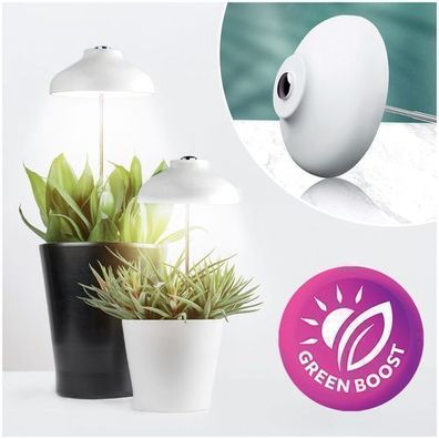 LED VERDI 5W Pflanzenlampe LED, Vollspektrum Pflanzenlicht für Zimmerpflanzen