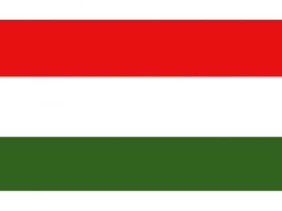 Talamex Gastlandflagge Ungarn 20cm x 30cm