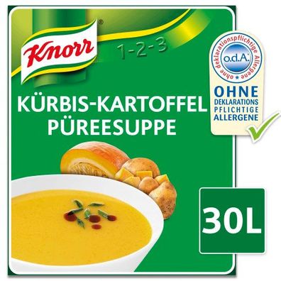 Knorr Kürbis-Kartoffel Püreesuppe 2,4 Kg