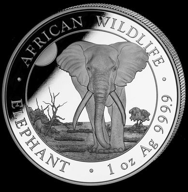 Silbermünze 1 oz Somalia Elefant 2025 999 Silber 100 Shilling African Wildlife