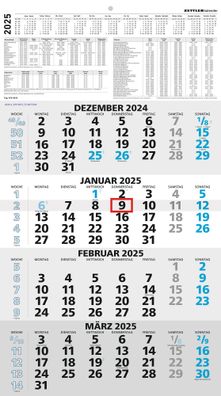 Kalender 2025 -4-Monatskalender blau 2025- 33 x 58,8cm