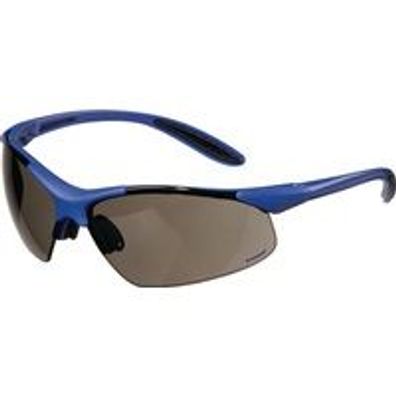 Promat Schutzbrille Daylight Premium PC-Scheibe smoke, Bügel: du-blau