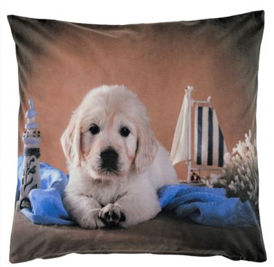 Kissenbezug 40x40 Golden Retriever Dekokissen Sofakissen Kissenhülle Kissen
