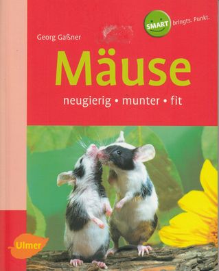 Mäuse - neugierig, munter, fit