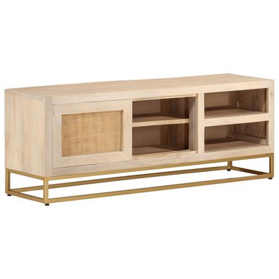 vidaXL TV-Schrank 110x30x40 cm Massivholz Mango und Eisen