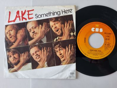 Lake - Something here 7'' Vinyl Germany