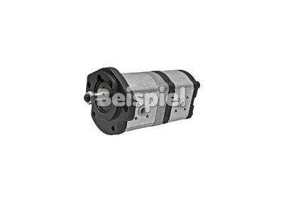 Hydraulikpumpe für Fendt 303, 304, 305, 0510665333, neu