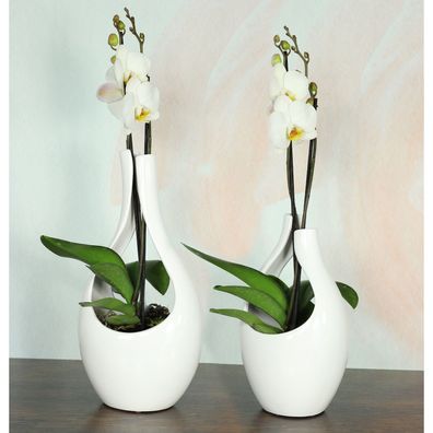 Pflanztopf Übertopf Blume Orchidee Keramik weiß silber beige grau rot gold